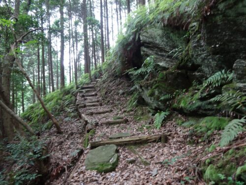 Dsc07743 山道歩き