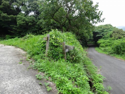 Dsc07778 三叉路の出会い