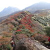 九重連山沓掛山付近の紅葉