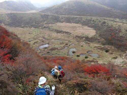 Dsc08740 紅葉の尾根を下る
