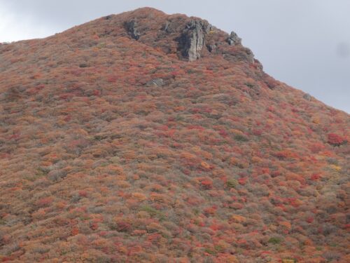 Dsc08750 星生山方面の紅葉