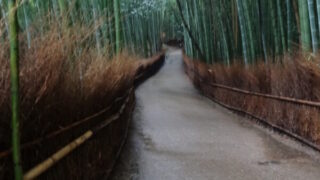 嵯峨野