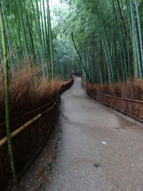 嵯峨野