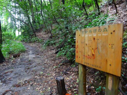 京女鳥部の森