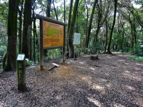 高台寺山国有林