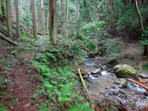 Dsc01445 山の中へ