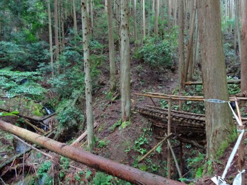 山の中へ