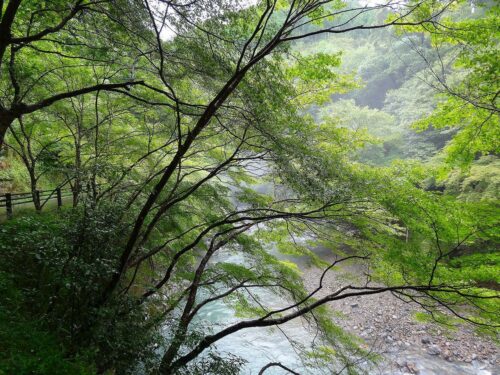 清滝川