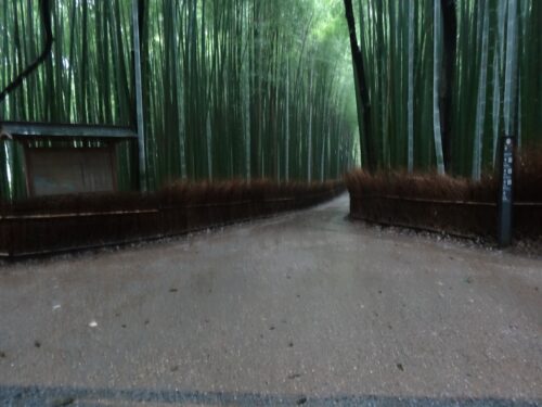 竹林小路