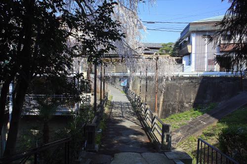 早春の円通寺橋