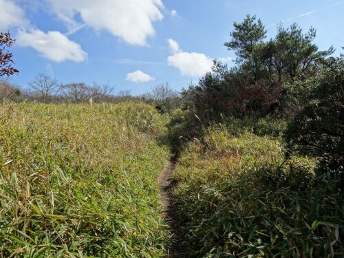 Dsc01951 万年山へ
