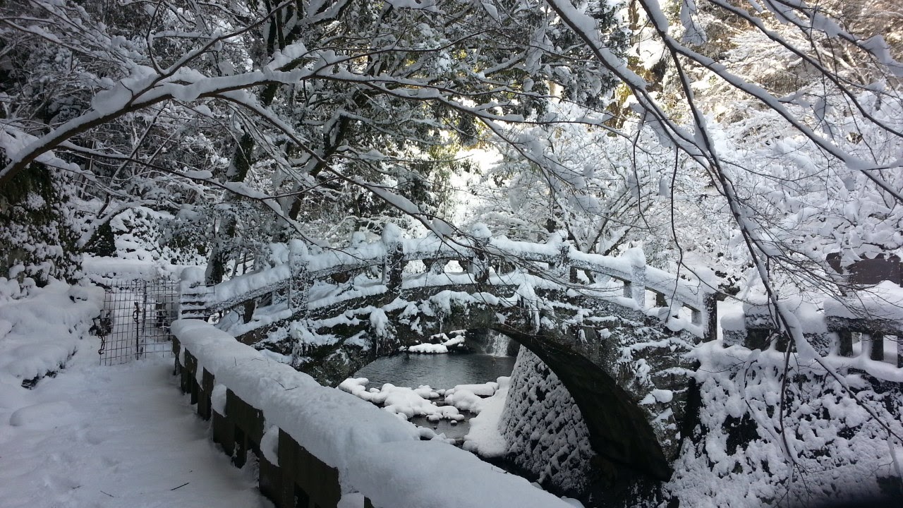 2016大雪