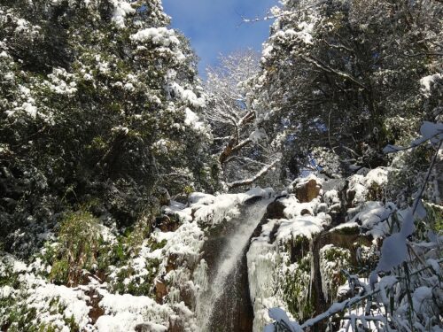 記録的な大雪