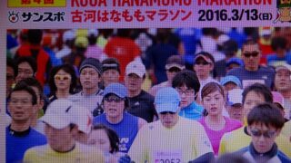 古河はなもも