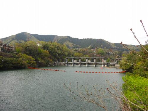 相模湖