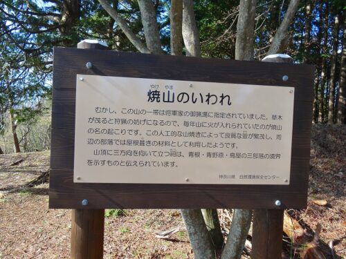 焼山山頂　