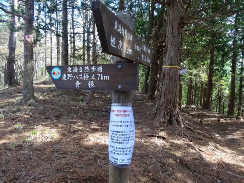 青根登山口からの出会い