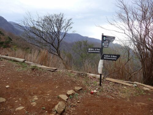 犬越路
