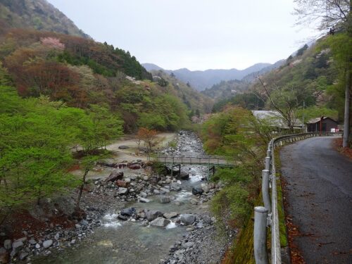 河内川沿いを下る