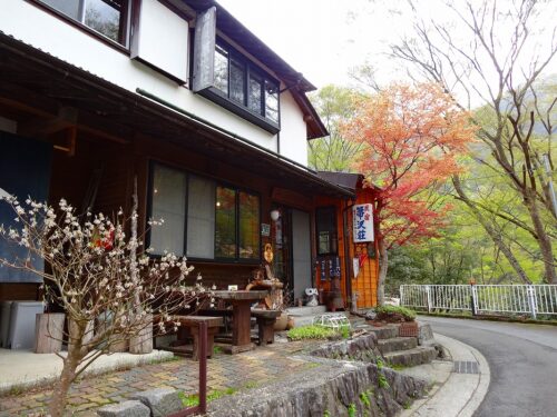 箒沢