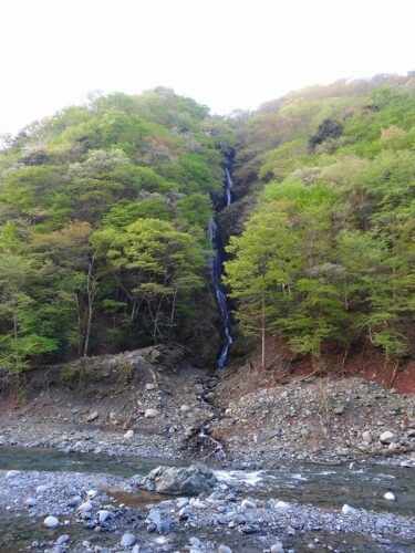 世附川へそそぐ、滝