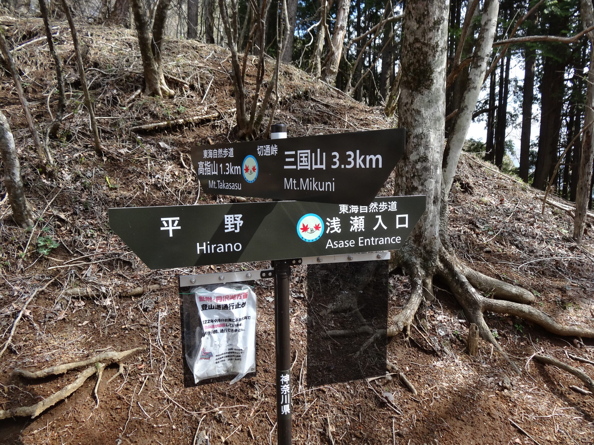 東海自然歩道/山梨切通峠