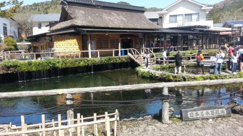忍野八海を散策