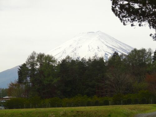 富士山