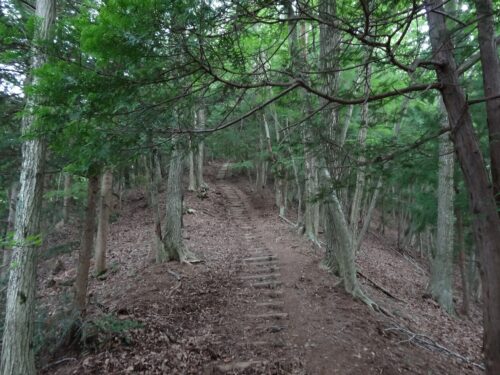 登山道