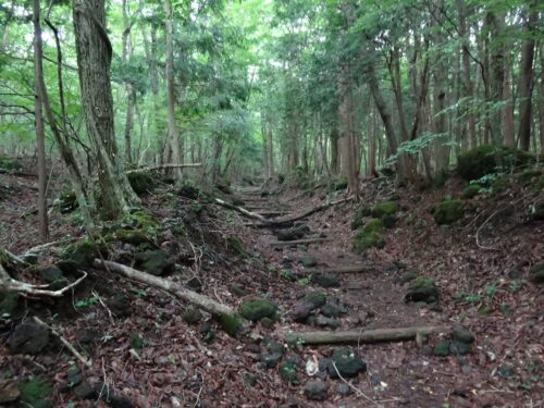 Dsc03998 静岡県との県境