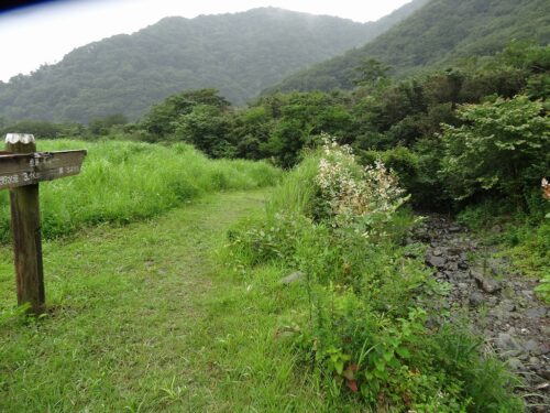 Dsc04035 朝霧高原