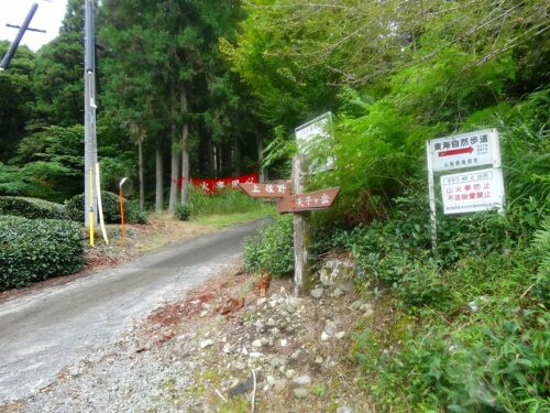 上佐野の林道
