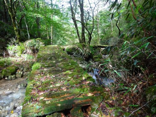 Dsc04324 登山道