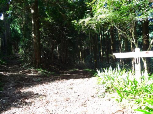竜爪山へ登り