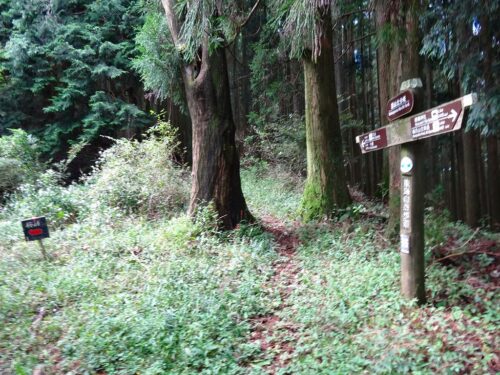 若山分岐