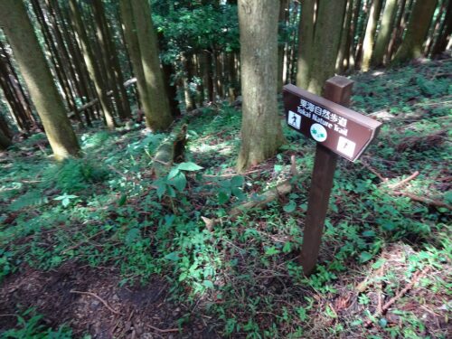Dsc04426 道しるべ