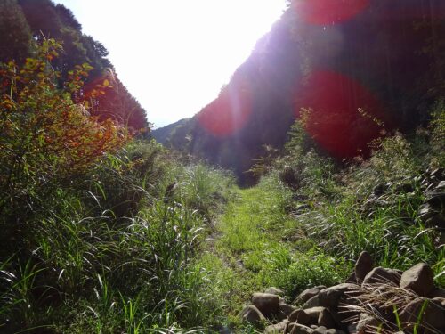 Dsc04451 油山峠