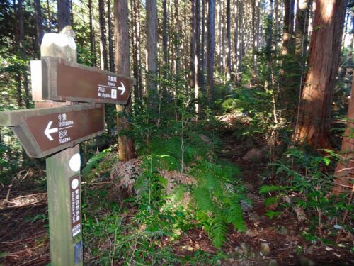 Dsc04471 登山道