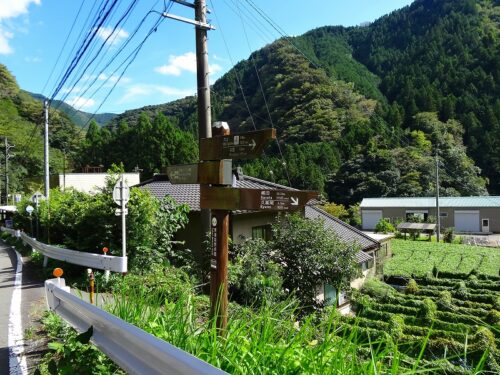 Dsc04513 寺島下