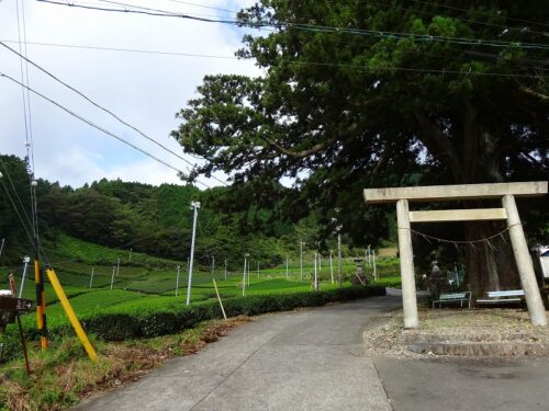 Dsc04574 神社への参道