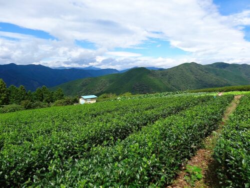 Dsc04601 笠間下