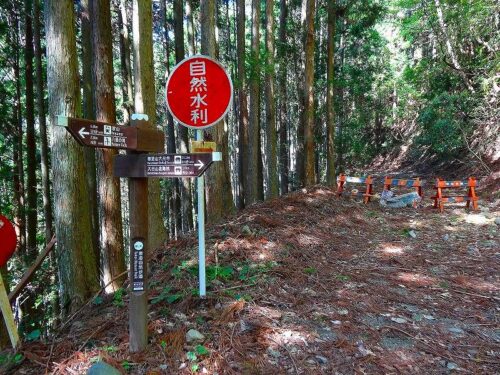 Dsc05000 道しるべ