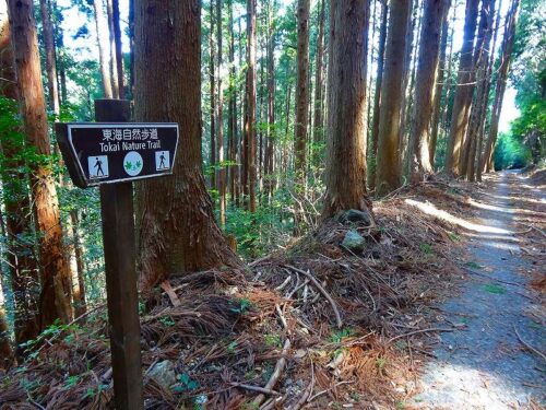 Dsc05004 道しるべ