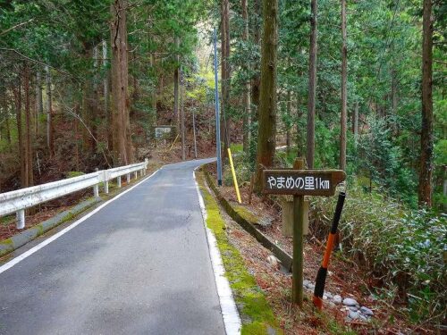 Dsc05029 道しるべ