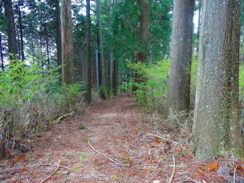 Dsc05030 山道歩き