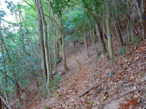 山道歩き