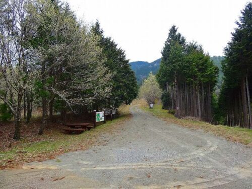Dsc05056 山道歩き