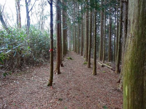 Dsc05059 山道歩き