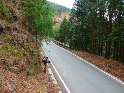 舗装道と山道