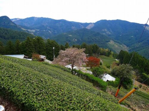 Dsc05101 砂川地区